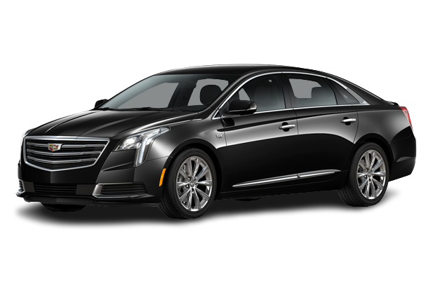 bee-black-car-services 2